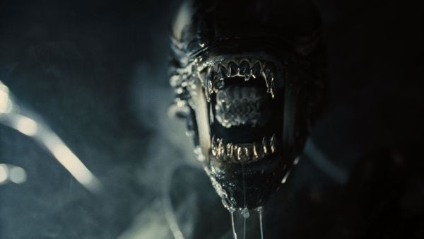 Produktbild: Alien - Romulus