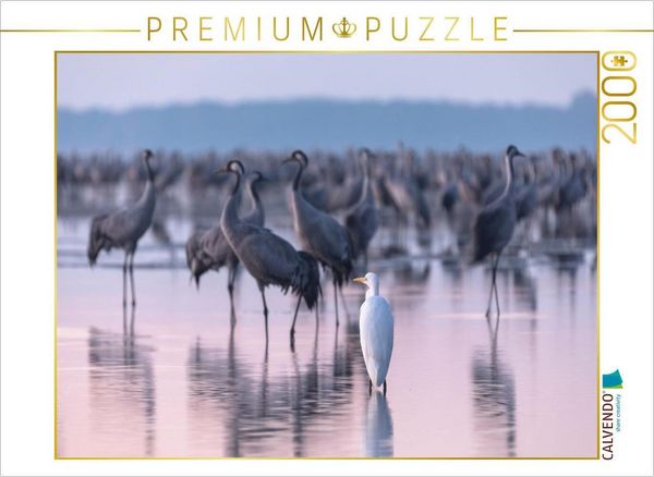 CALVENDO Puzzle Silberreiher beobachtet die Kraniche am Schlafplatz | 2000 Teile Lege-Größe 90 × 67 cm Foto-Puzzle für glückliche Stunden