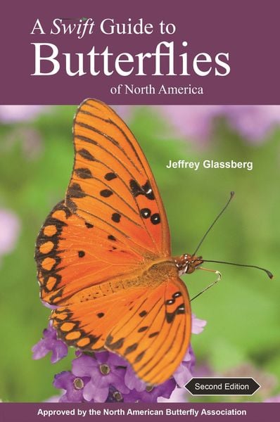 Produktbild: A Swift Guide to Butterflies of North America