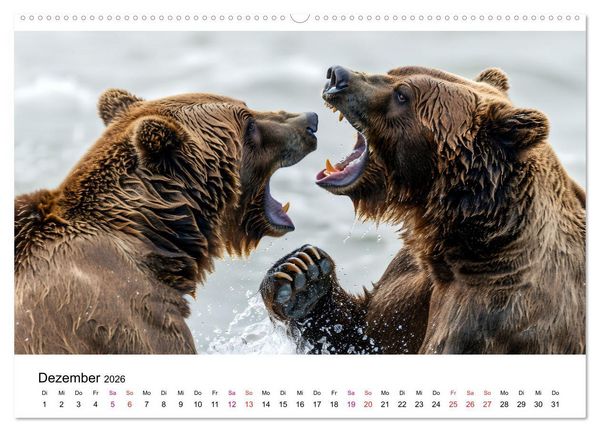 Produktbild: B&auml;ren - gef&auml;hrlich nett (Wandkalender 2026 DIN A2 quer), CALVENDO Monatskalender