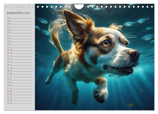 Produktbild: Chiens : les nageurs intr&eacute;pides (Calendrier mural 2026 DIN A4 vertical), CALVENDO calendrier mensuel