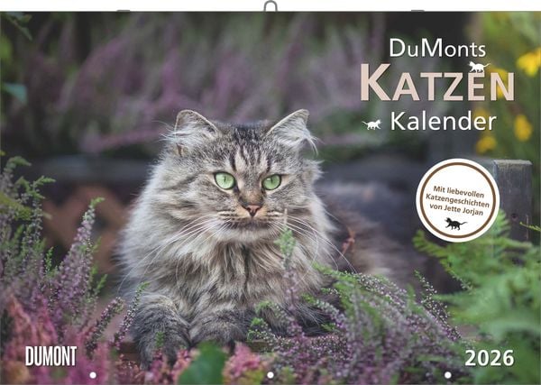 DUMONT - Katzenkalender 2026 – Broschürenkalender 42 x 29 cm mit 12 Katzenportraits, literarischen Geschichten & Schulferienterminen, Wandkalender für