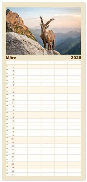 Produktbild: Familienplaner 2026 - Steinb&ouml;cke - Eindr&uuml;ckliche K&ouml;nige der Alpen mit 5 Spalten (Wandkalender, 21 x 45 cm) CALVENDO