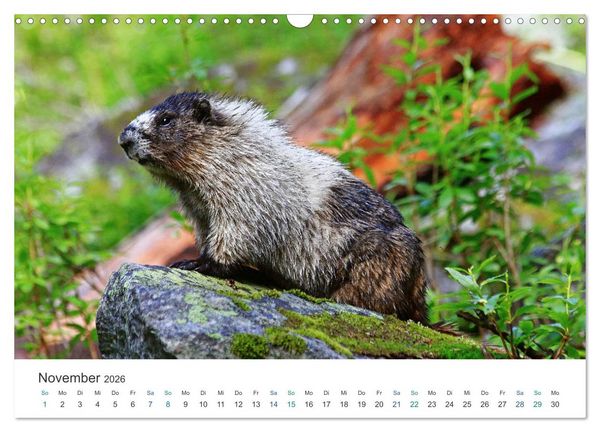 Produktbild: Icefields Parkway in Kanada (Wandkalender 2026 DIN A3 quer), CALVENDO Monatskalender