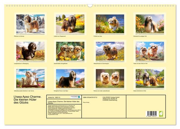 Produktbild: Lhasa Apso Charme. Die kleinen H&uuml;ter des Gl&uuml;cks (Wandkalender 2026 DIN A2 quer), CALVENDO Monatskalender