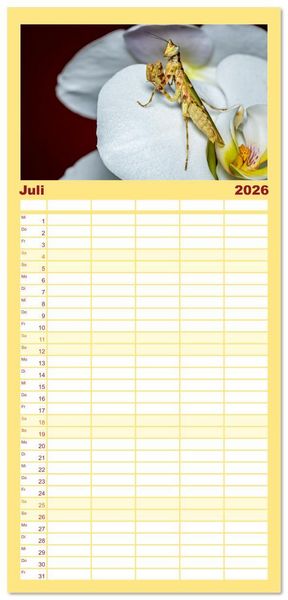 Produktbild: Familienplaner 2026 - Im Bann der Mantis mit 5 Spalten (Wandkalender, 21 x 45 cm) CALVENDO