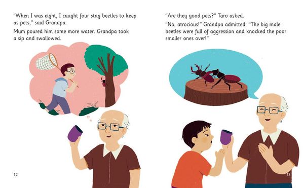 Produktbild: Taro and the Stag Beetle