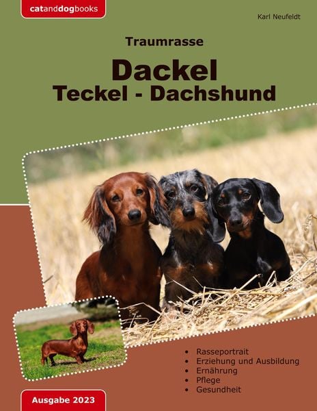 Produktbild: Traumrasse: Dackel Teckel Dachshund