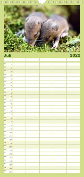 Produktbild: Familienplaner ... hier kommt die Maus ... (Wandkalender 2022 , 21 cm x 45 cm, hoch)