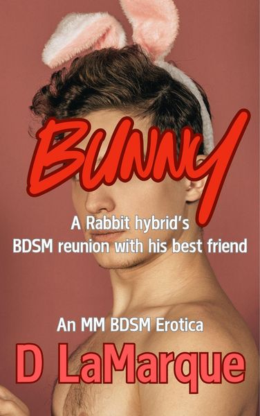 Produktbild: Bunny: A Rabbit hybrid's BDSM Reunion with his Best Friend