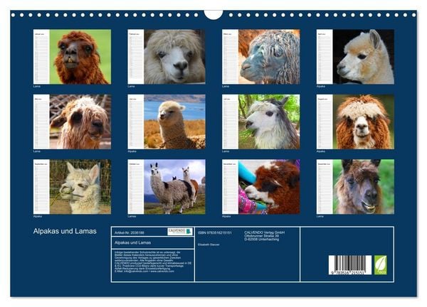 Produktbild: Alpakas und Lamas (Wandkalender 2026 DIN A3 quer), CALVENDO Monatskalender