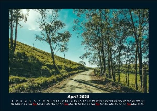 Produktbild: B&auml;ume 2025 Fotokalender DIN A5