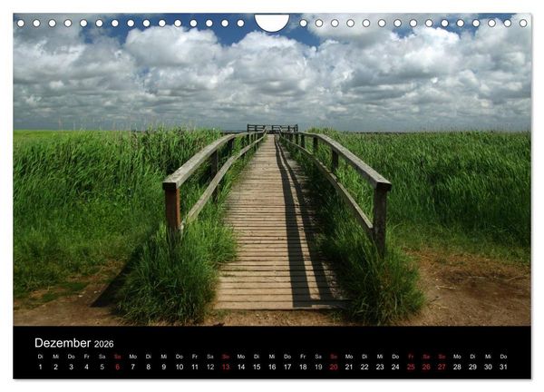 Produktbild: Amrum, Perle der Nordsee (Wandkalender 2026 DIN A4 quer), CALVENDO Monatskalender