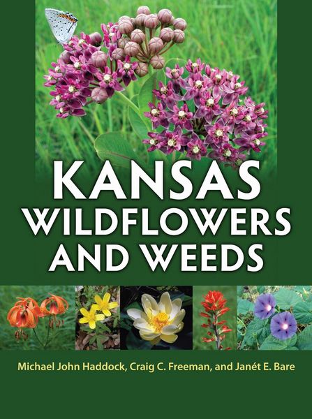 Produktbild: Kansas Wildflowers and Weeds