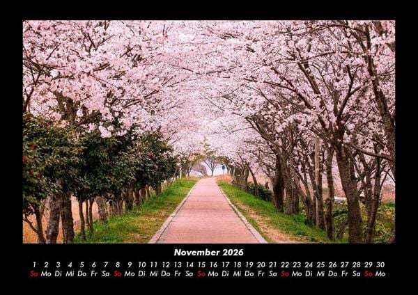 Produktbild: Natur Pur 2026 Fotokalender DIN A3