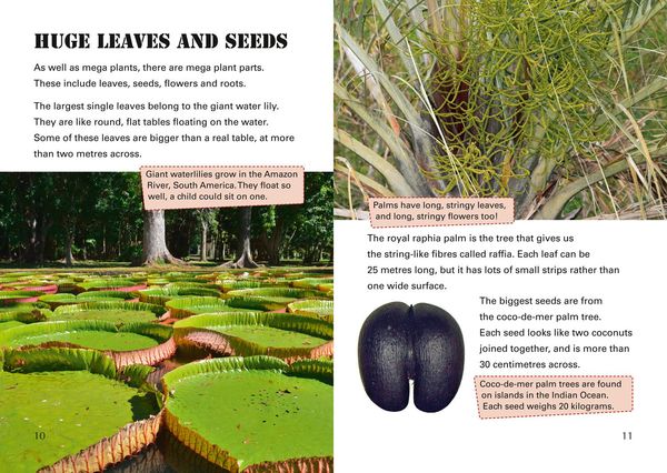 Produktbild: Mega Plants