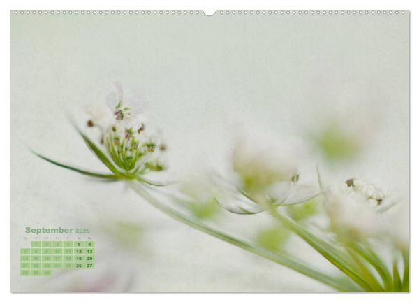 Produktbild: Zauberhafte Bl&uuml;ten (Wandkalender 2026 DIN A2 quer), CALVENDO Monatskalender