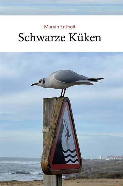 Produktbild: Schwarze Küken