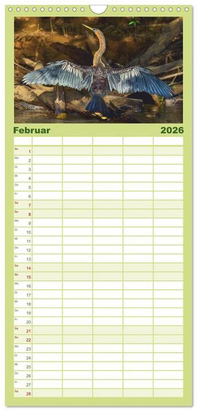 Produktbild: Familienplaner 2026 - Costa Ricas gefiederte Pracht mit 5 Spalten (Wandkalender, 21 x 45 cm) CALVENDO