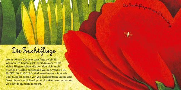 Produktbild: Das gro&szlig;e Buch der riesigen Tiere. Das kleine Buch der winzigen Tiere