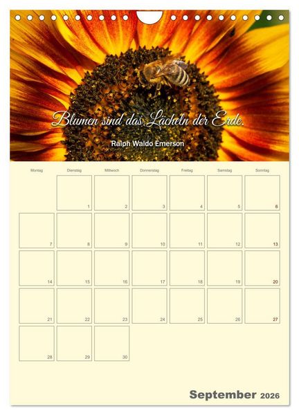 Produktbild: Gartenliebe (Wandkalender 2026 DIN A4 hoch), CALVENDO Monatskalender