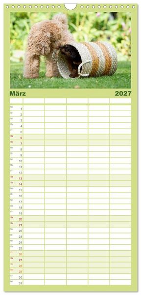 Produktbild: Familienplaner 2027 - Pudel mit 5 Spalten (Wandkalender, 21 x 45 cm) CALVENDO