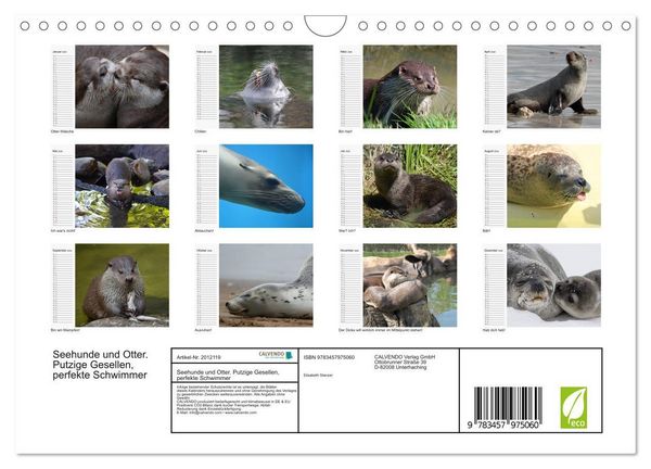 Produktbild: Seehunde und Otter. Putzige Gesellen, perfekte Schwimmer (Wandkalender 2026 DIN A4 quer), CALVENDO Monatskalender