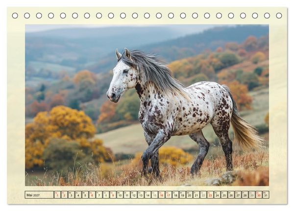 Produktbild: Knabstrupper Poesie. Gescheckte Eleganz im Farmsommer (Tischkalender 2027 DIN A5 quer), CALVENDO Monatskalender