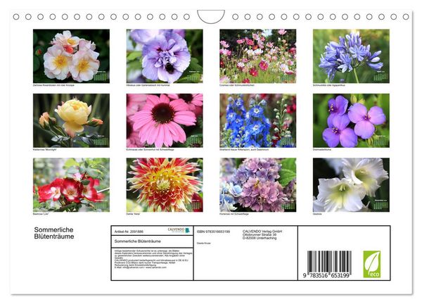 Produktbild: Sommerliche Bl&uuml;tentr&auml;ume (Wandkalender 2026 DIN A4 quer), CALVENDO Monatskalender