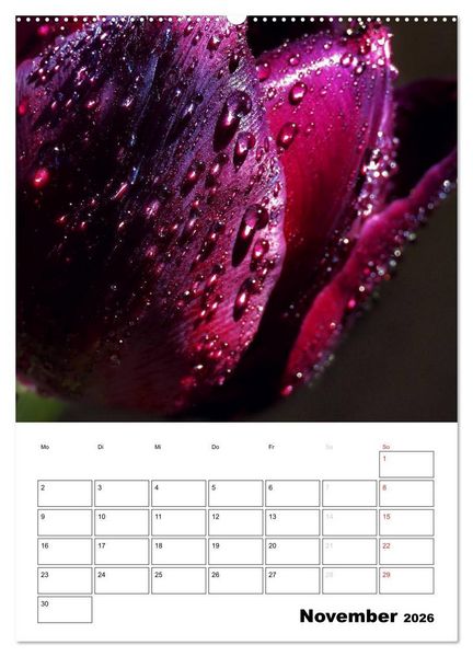 Produktbild: Zauberhafte Bl&uuml;tenwelt / Planer (Wandkalender 2026 DIN A2 hoch), CALVENDO Monatskalender