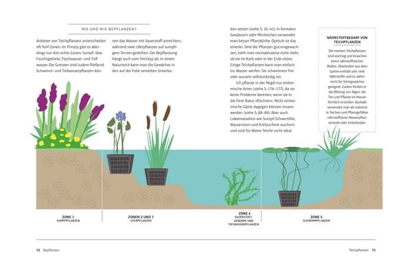 Produktbild: Leben am Gartenteich