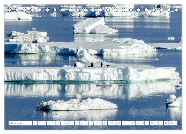 Produktbild: Antarktis - Das Reich der Pinguine (Tischkalender 2026 DIN A5 quer), CALVENDO Monatskalender