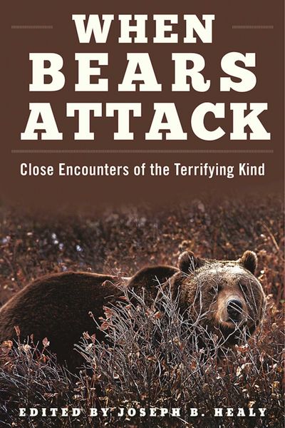 Produktbild: When Bears Attack