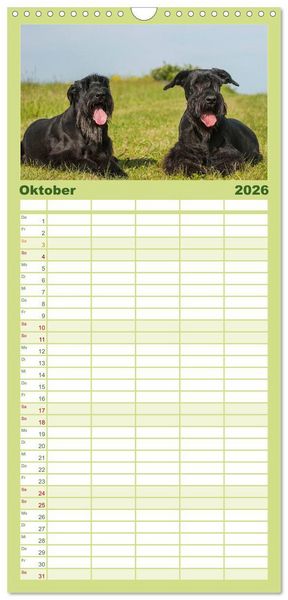 Produktbild: Familienplaner 2026 - Treuer Freund Riesenschnauzer mit 5 Spalten (Wandkalender, 21 x 45 cm) CALVENDO