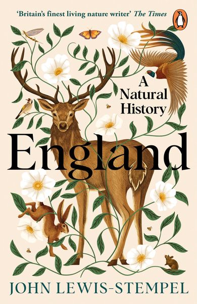Produktbild: England