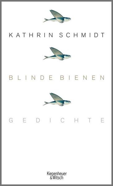 Produktbild: Blinde Bienen