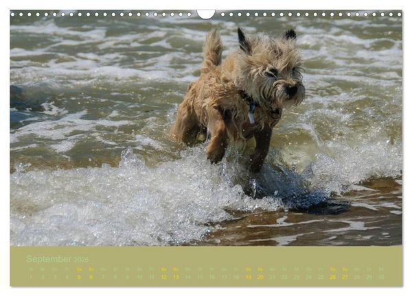 Produktbild: Cairns Forever (Wandkalender 2026 DIN A3 quer), CALVENDO Monatskalender
