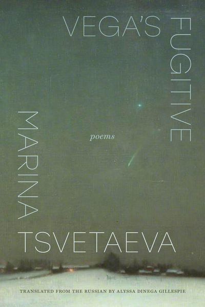 Produktbild: Vega's Fugitive