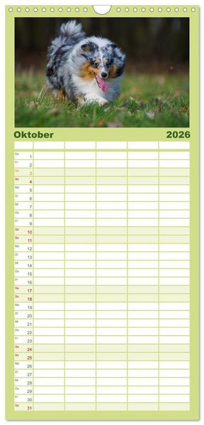 Produktbild: Familienplaner 2026 - Traumhund Sheltie mit 5 Spalten (Wandkalender, 21 x 45 cm) CALVENDO