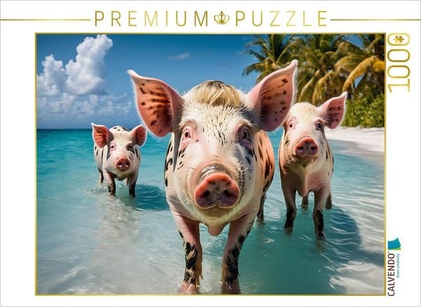 CALVENDO Puzzle Rosa Borstentiere erkunden die traumhafte Bucht | 1000 Teile Lege-Größe 64x48cm Foto-Puzzle für glücklic