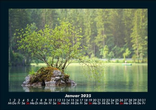 Produktbild: B&auml;ume 2025 Fotokalender DIN A5