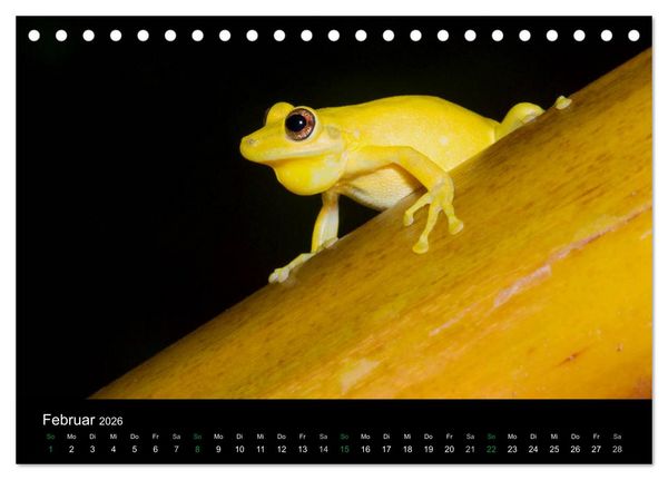 Produktbild: Costa Rica - Faszination Fr&ouml;sche (Tischkalender 2026 DIN A5 quer), CALVENDO Monatskalender