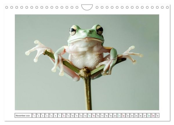 Produktbild: Lustige Amphibienbande (Wandkalender 2026 DIN A4 quer), CALVENDO Monatskalender