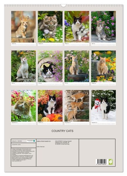 Produktbild: COUNTRY CATS (Wandkalender 2026 DIN A2 hoch), CALVENDO Monatskalender