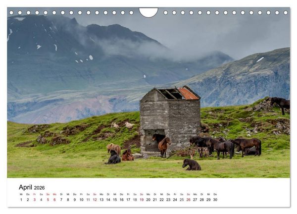 Produktbild: Island - rauhe Sch&ouml;nheit zum Verlieben (Wandkalender 2026 DIN A4 quer), CALVENDO Monatskalender