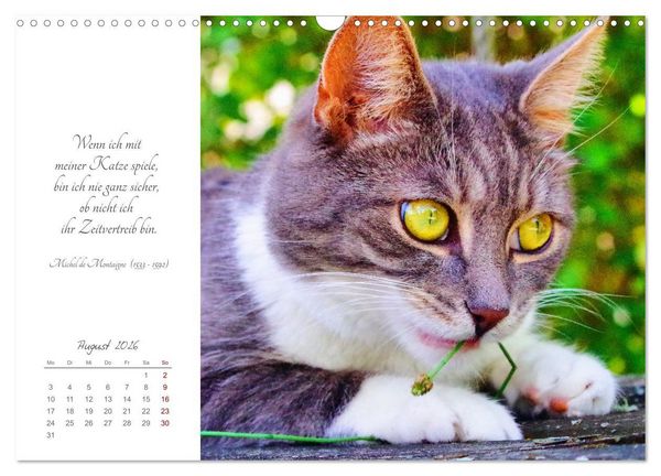 Produktbild: Catlovers - Ein Jahr voller Samtpfoten und charmanten Weisheiten (Wandkalender 2026 DIN A3 quer), CALVENDO Monatskalender