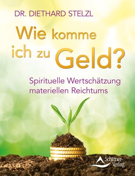 Wie komme ich zu Geld?, Taschenbuch von Diethard Stelzl, Schirner, 9783843412049
