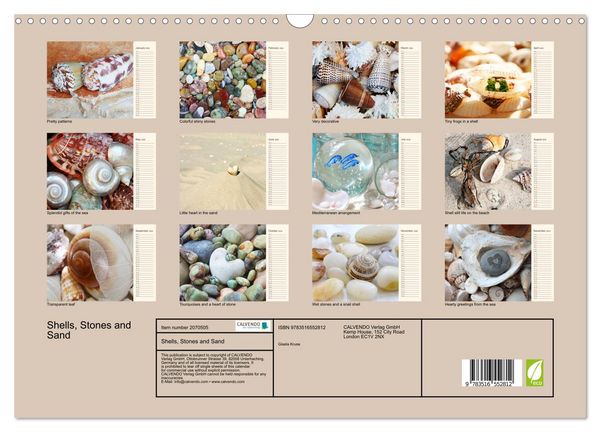 Produktbild: Shells, Stones and Sand (Wall Calendar 2026 DIN A3 landscape), CALVENDO 12 Month Wall Calendar