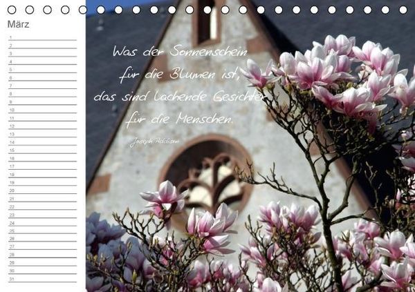 Produktbild: Befl&uuml;gelt (Tischkalender immerw&auml;hrend DIN A5 quer)