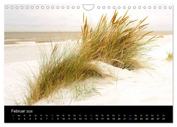 Produktbild: Gr&uuml;&szlig;e aus Texel (Wandkalender 2026 DIN A4 quer), CALVENDO Monatskalender